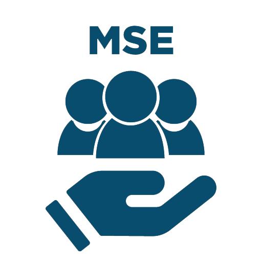logo-mse